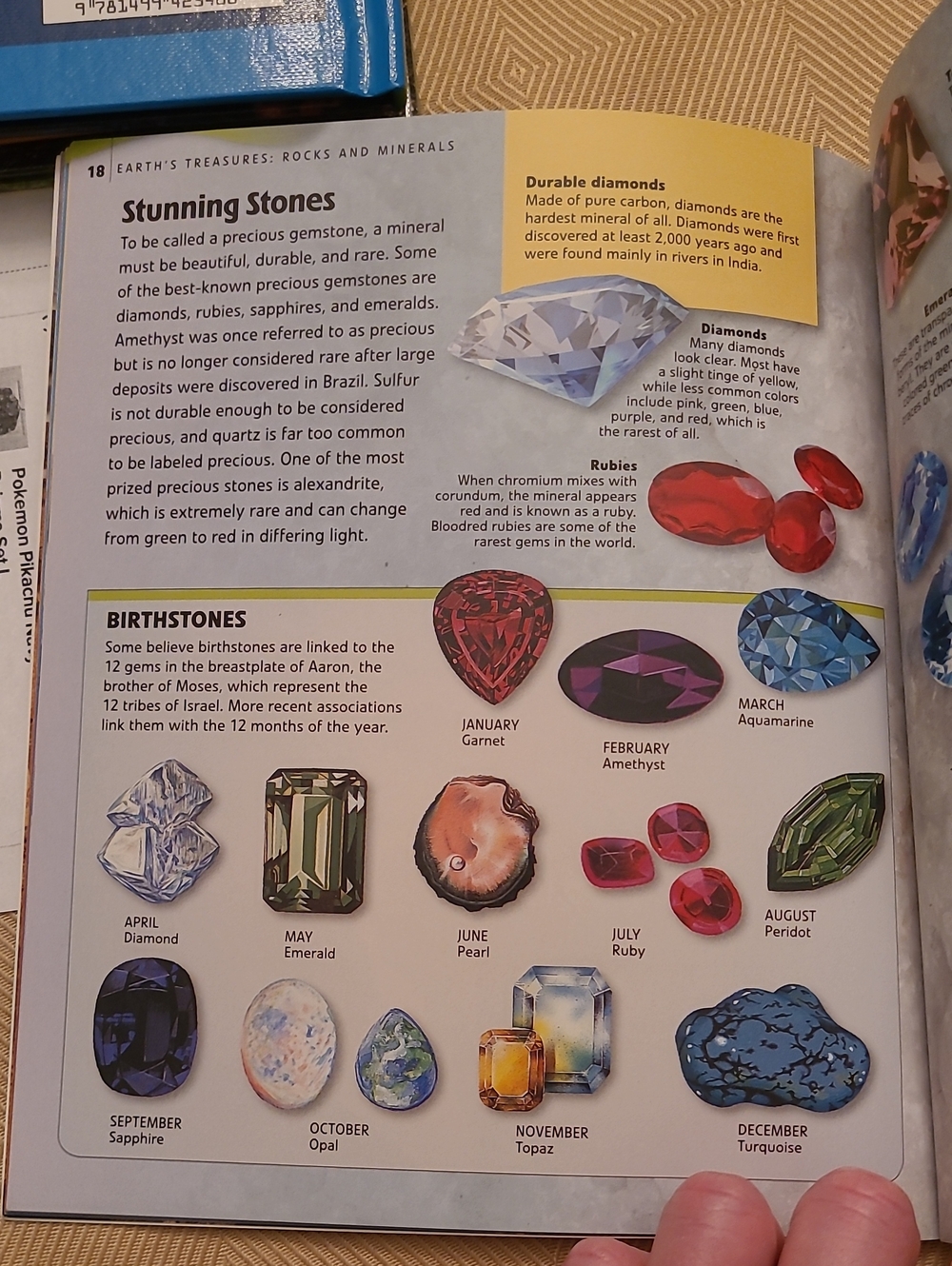 NEW 4 Book Set Rocks And Minerals - Picture 12 of 13